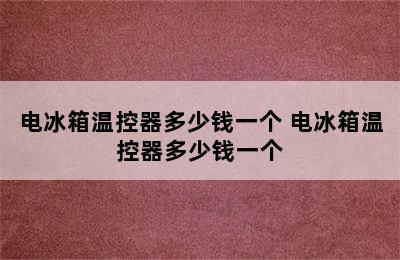 电冰箱温控器多少钱一个 电冰箱温控器多少钱一个